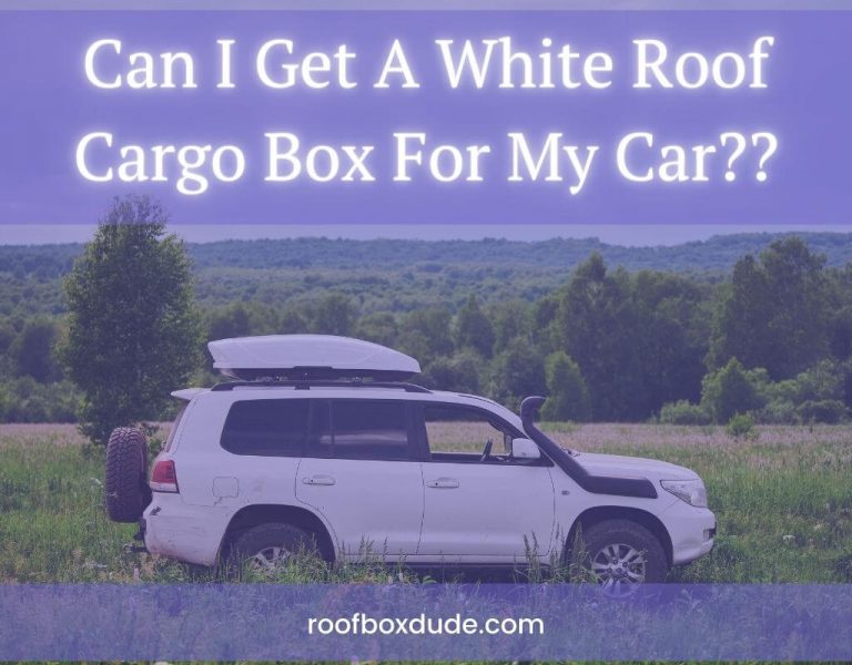 Can I Get A White Roof Cargo Box For My Car