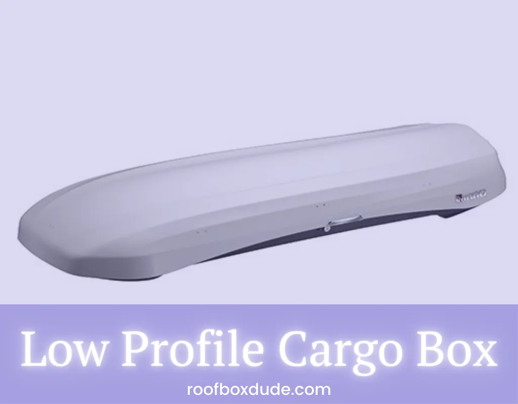 Low Profile Cargo Box